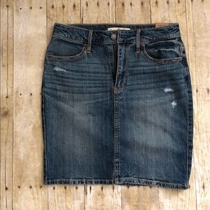 HollisterCo Denim Skirt